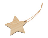 Bamboo star pendant